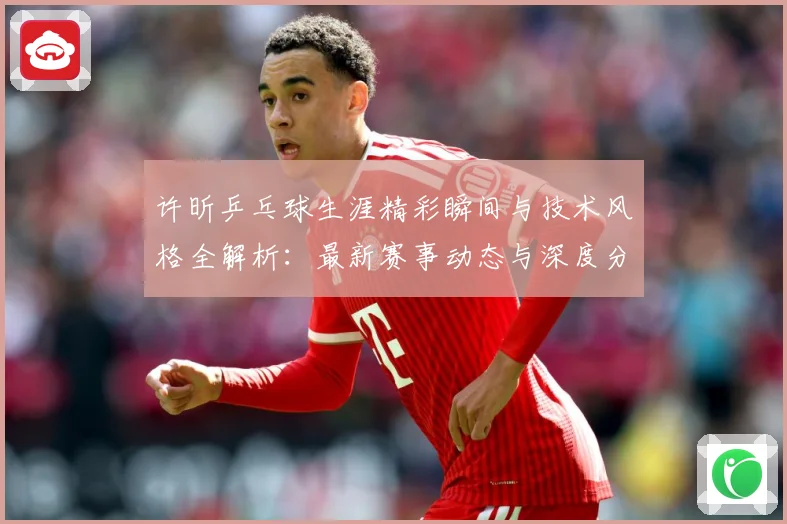 许昕乒乓球生涯精彩瞬间与技术风格全解析：最新赛事动态与深度分析